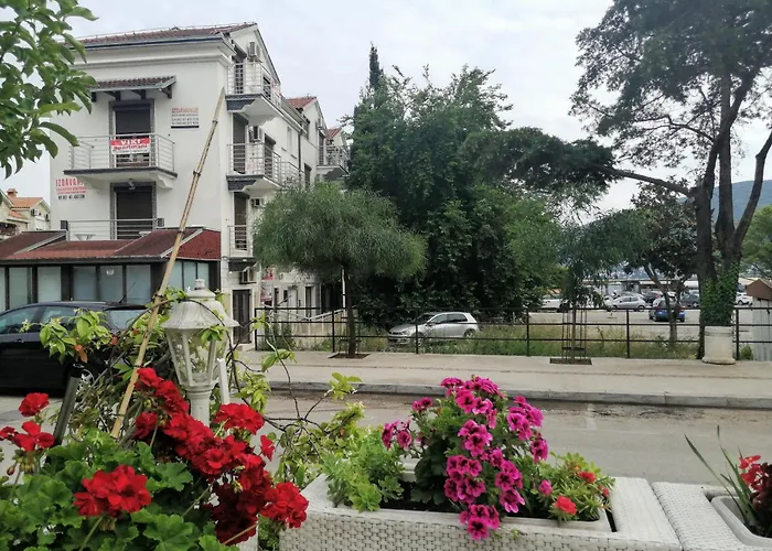 Apartmani Viki